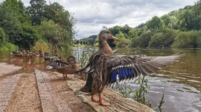 Ironbridge