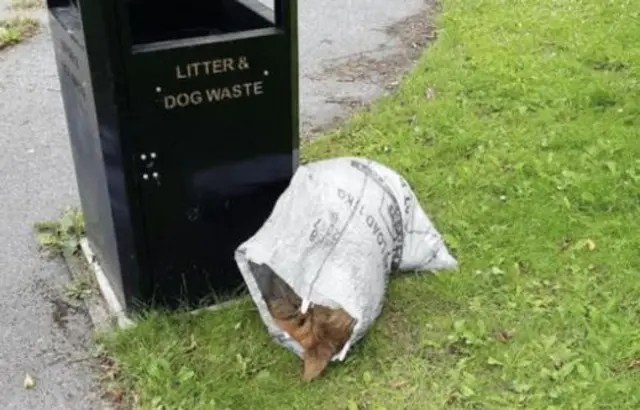 Sack with dead dog by bin