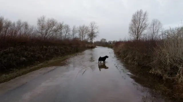 Flooded road