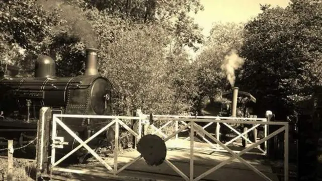 Steam train