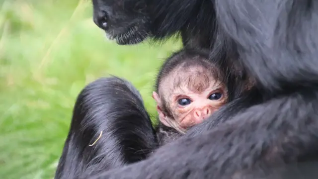 Mother and baby