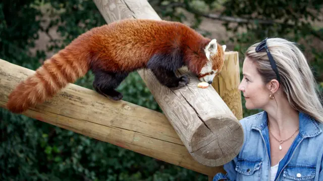 Helen Skelton and a panda