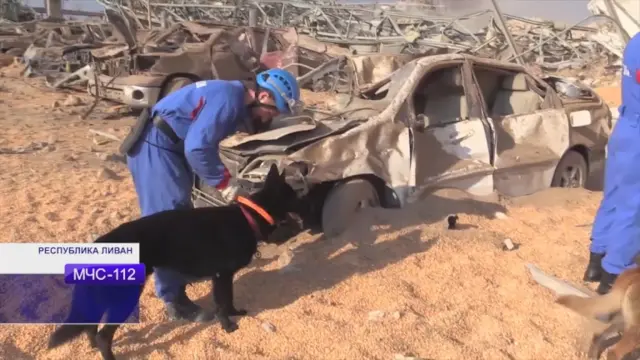 A still from Russia's emergencies ministry shows a Russian rescuer with a sniffer dog searching for survivors in Beirut