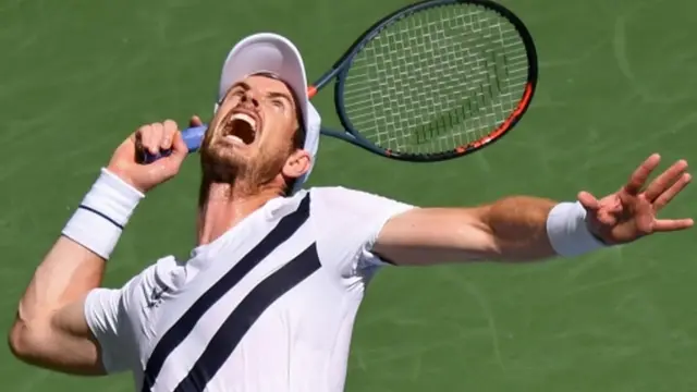 andy murray