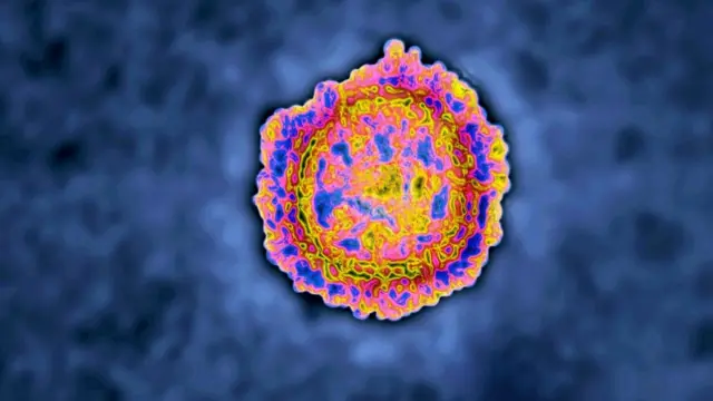 Coronavirus