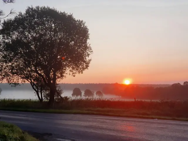 Weather Watchers