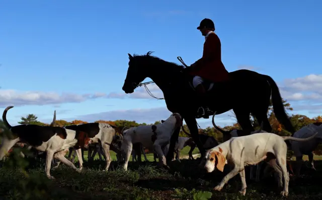 Fox hunt