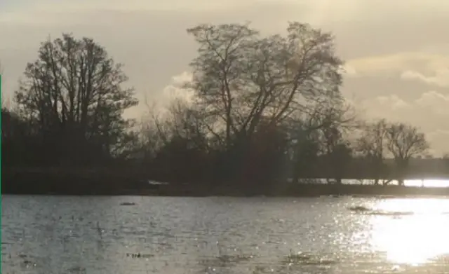 Wetland near Oak Tree Farm