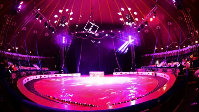 circus