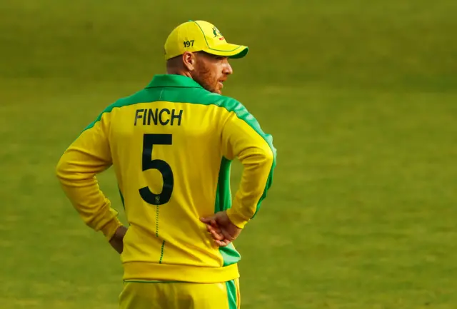 Finch