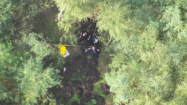 Drone footage of cannabis grow in woods