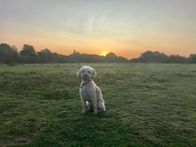 Holme Pierrepont Weather Watchers