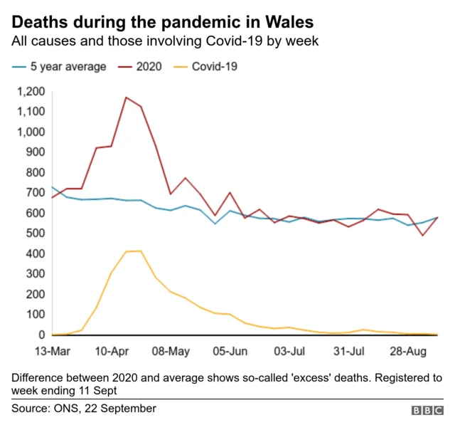 Graphic showing deaths during pandemic