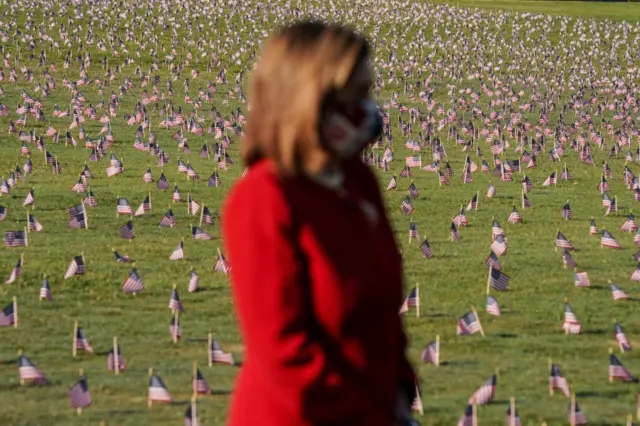 US House Speaker Nancy Pelosi stands among 20,000 American flags