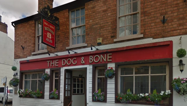 The Dog & Bone