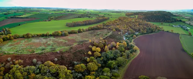 Nesscliffe Country Park