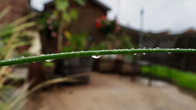 Raindrops in Kegworth