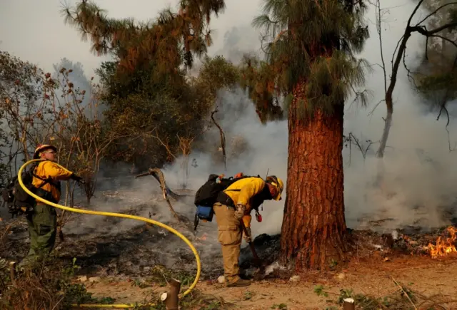 Firefighters work to extinguish the Bobcat Fire after an evacuation was ordered for the residents of Arcadia, California, on September 13, 2020.