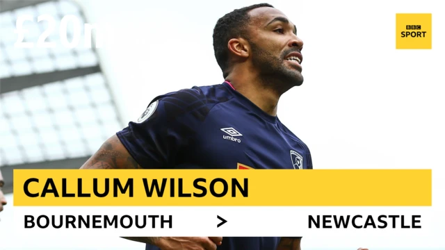 Callum WIlson