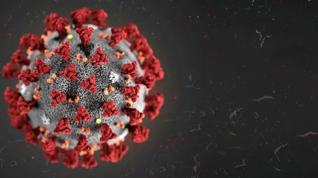 Coronavirus