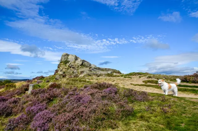 Lanscape in Ashover