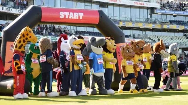 Mascot Race T20 Blast