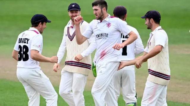 Somerset celebrate