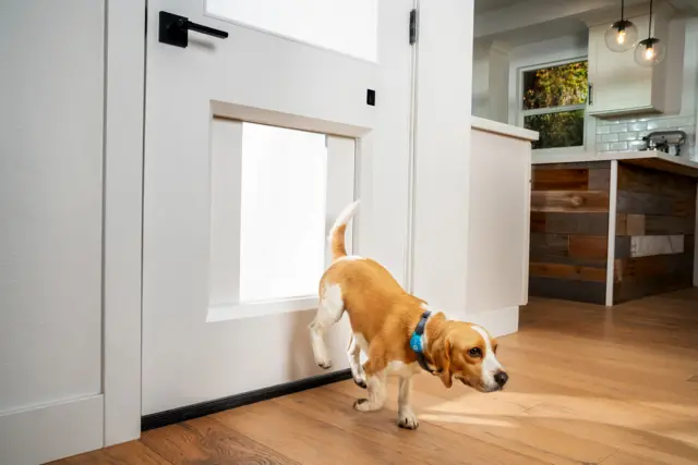 A dog leaps through a pet flap, which opens as a sliding door