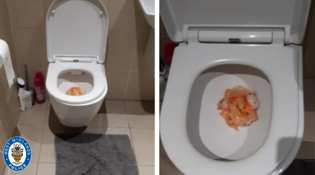 Drugs in a toilet