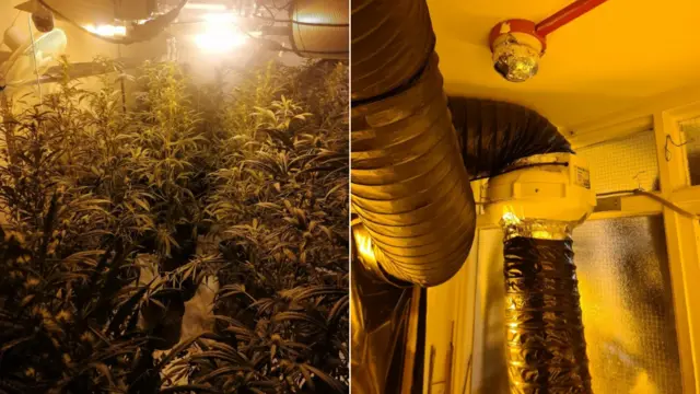 Cannabis grow discovered in Kirkby-in-Ashfield