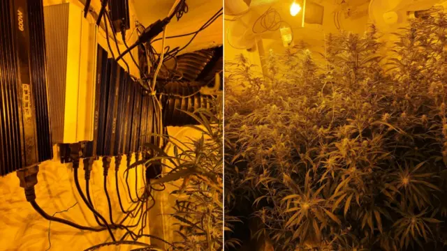 Cannabis grow discovered in Kirkby-in-Ashfield