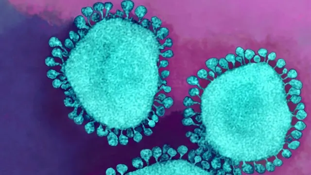 Coronavirus variant