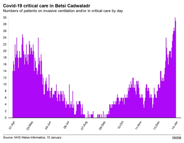 Graph showing patients in critical care in Betsi Cadwaladr health board area of north Walesof Oatie