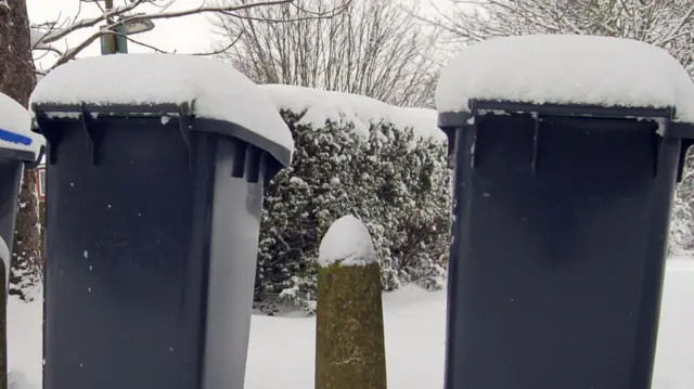 Snow on bins