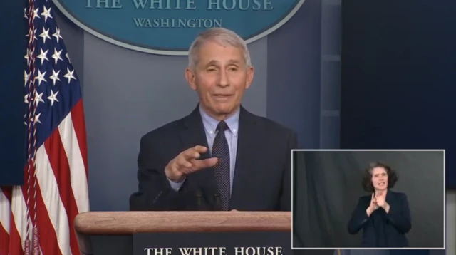 Anthony Fauci speaks at a White House press briefing