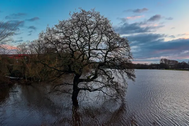 Parrs Wood playing fields