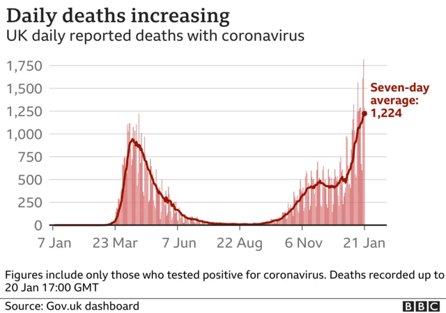 Deaths chart