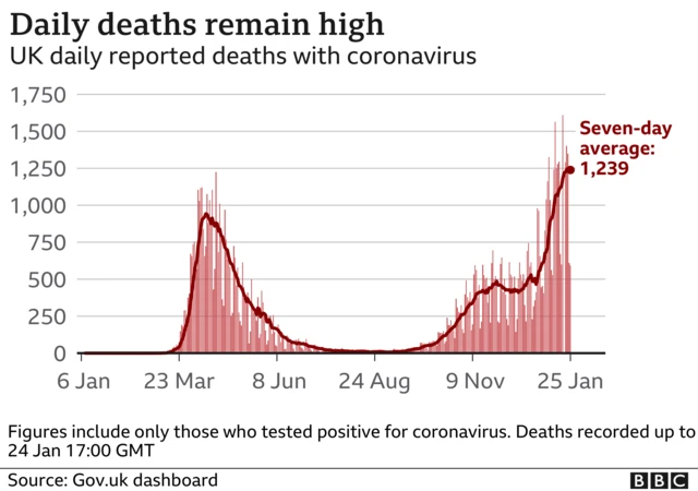 Chart on the daily Covid deaths in the UK