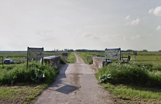 Willow Tree Fen