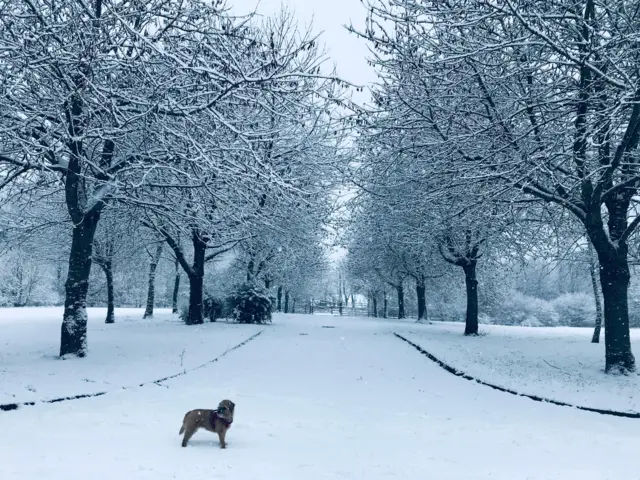 Leicestershire snow