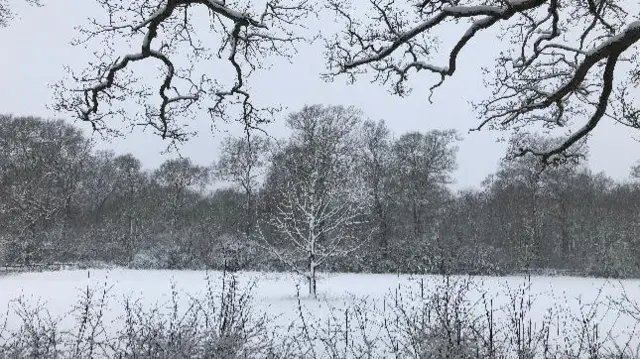 This morning in Shustoke, Warwickshire