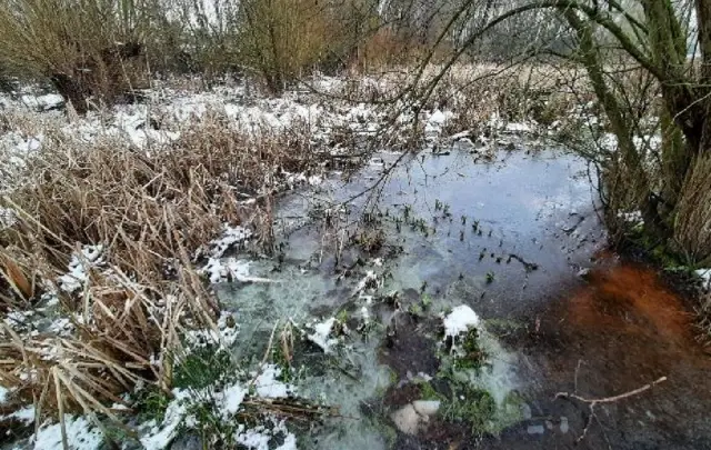 Kidderminster pool