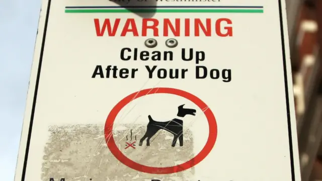 Dog fouling sign