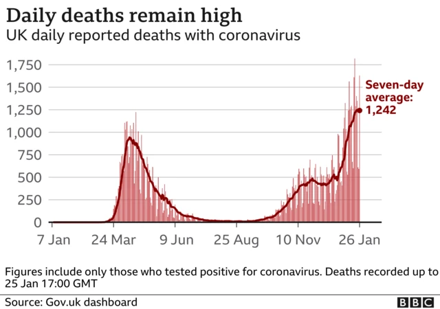 Graph showing daily Covid deaths in UK