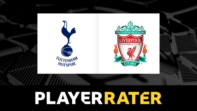 Player rater graphic