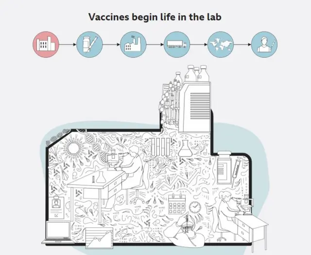 Vaccine creation graphic