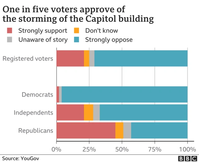 Graphic showing one in five Republicans approve of Congress siege