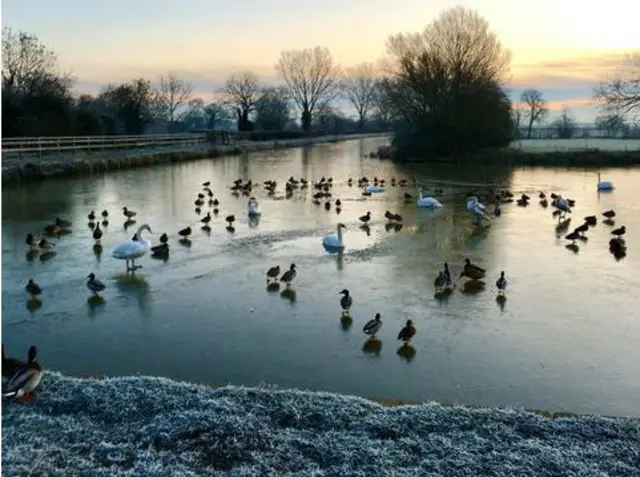 Hickling Basin in Hickling, Melton Mowbray