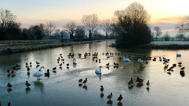 frosty morning at Hickling Basin