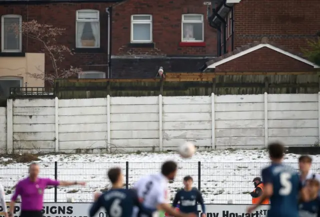 Chorley fan